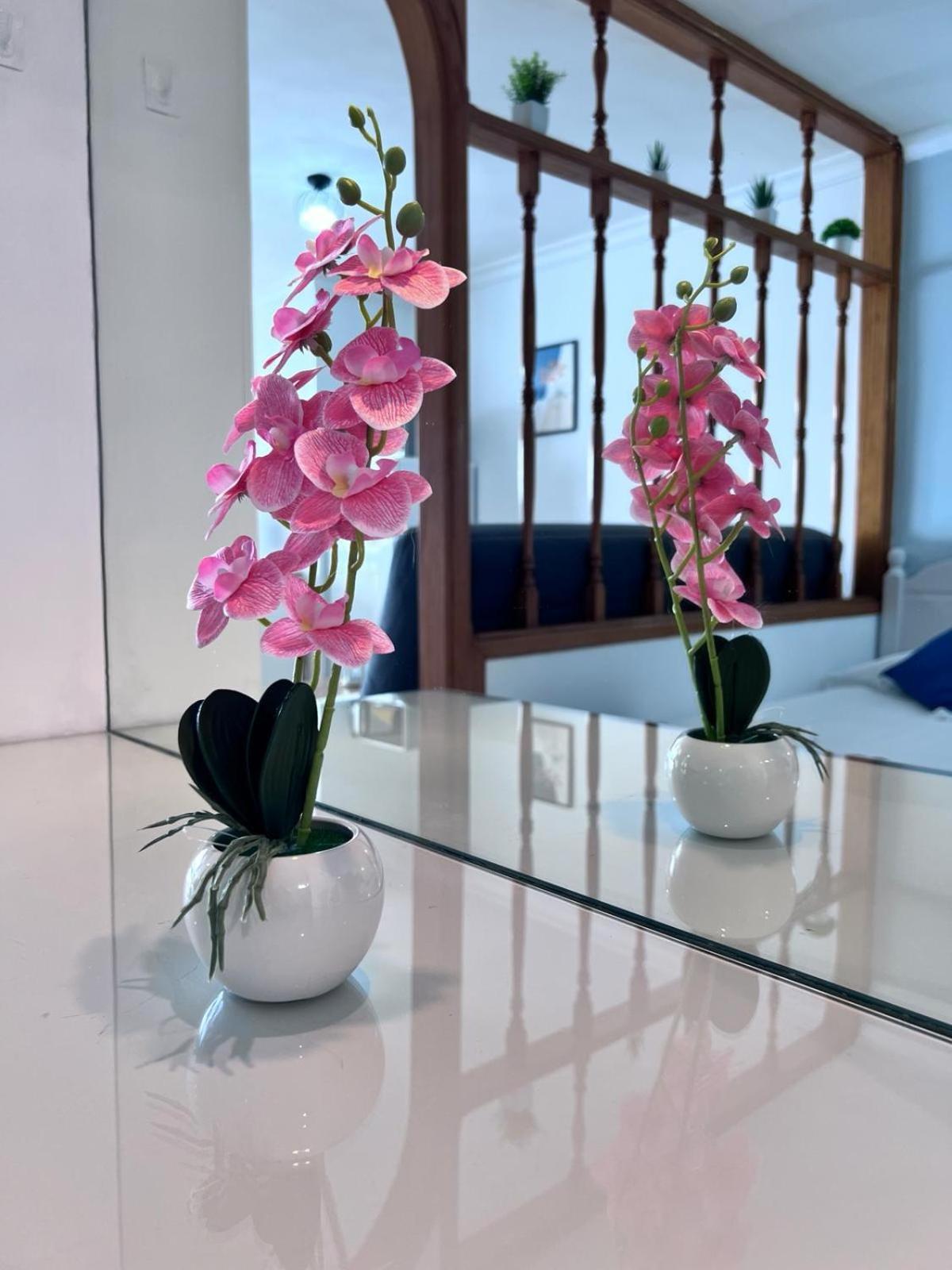 Apartamento-Estudio En La Playa ปาตาลาวากา ภายนอก รูปภาพ